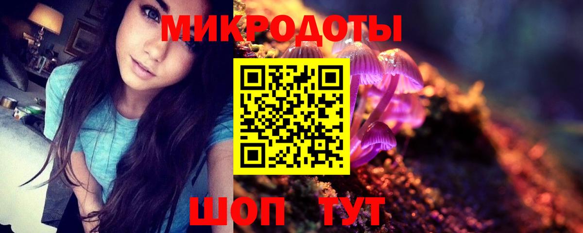 Заречный  Галлюциногенные грибы мухоморы  Вход с VPN 